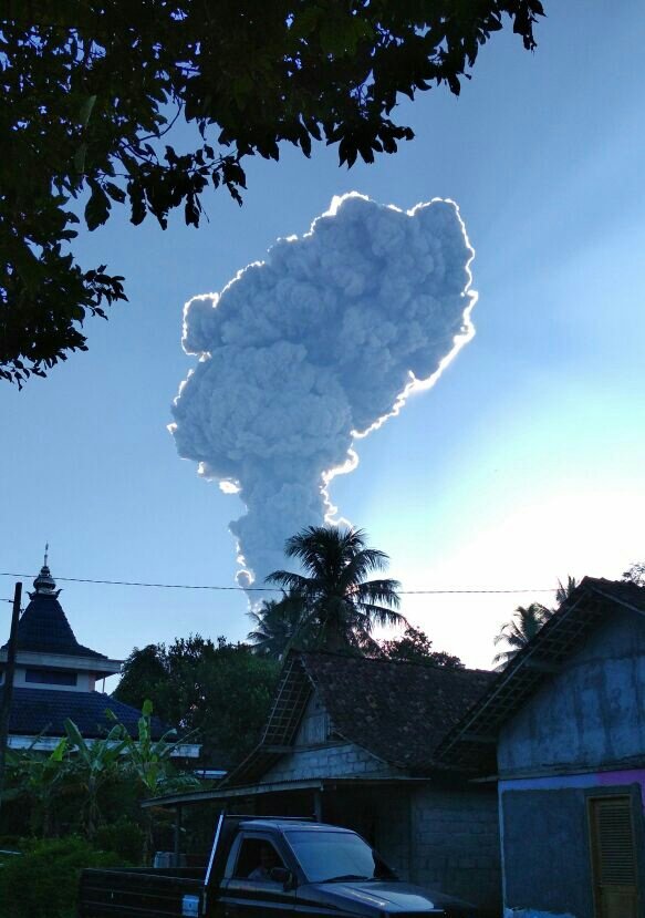 Merapi Bergemuruh dan Keluarkan Asap Putih Tinggi Pagi Ini
