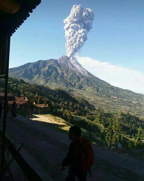Merapi Bergemuruh dan Keluarkan Asap Putih Tinggi Pagi Ini