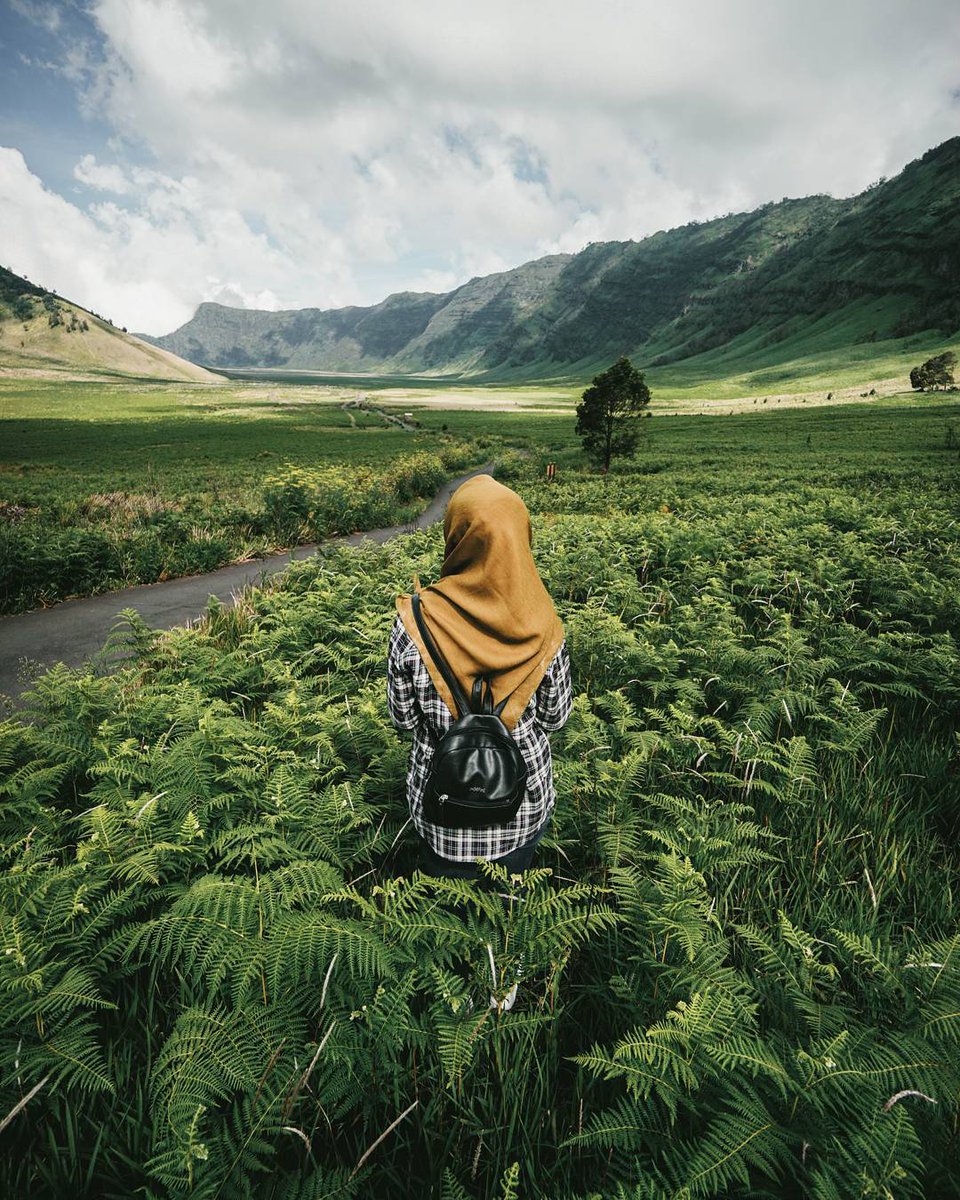 &#91;COC Reg.Bromo&#93; Bak Surga di Bumi, 10 Paronama Wisata Bromo yang Bikin Takjub