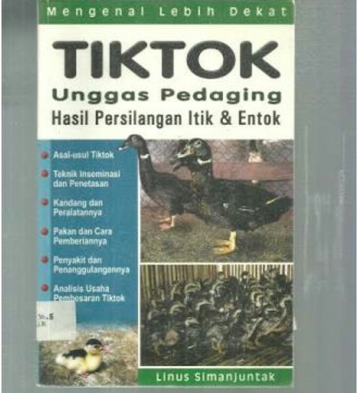 fenomena-tik-tok-dan-meet-and-greet-mulai-menjamur