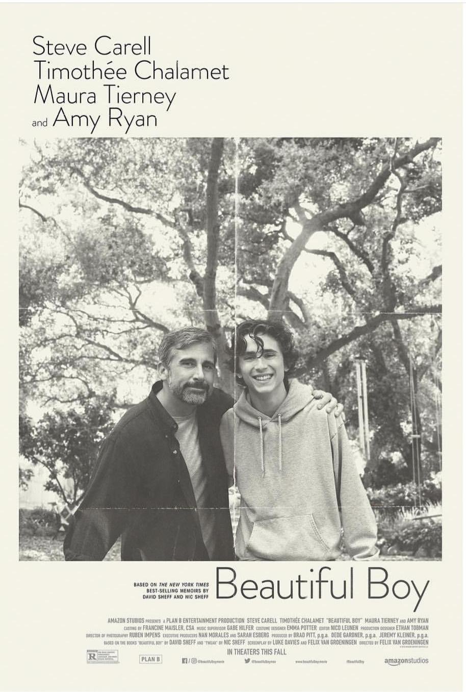 beautiful-boy-2018--steve-carell