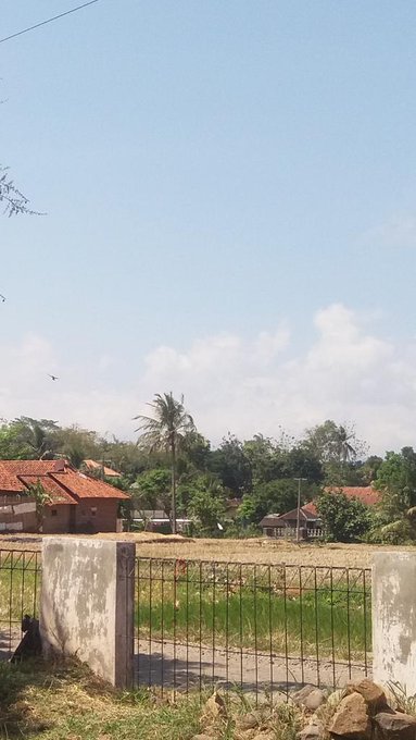 Gue Itu Penakut, Tapi Suka Poto & Video Horror #Aslinyalo