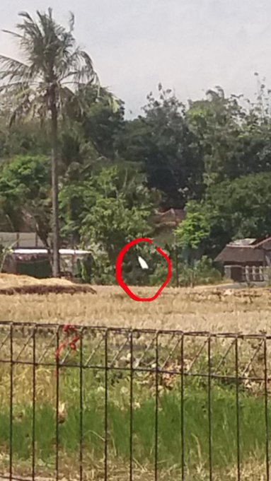 Gue Itu Penakut, Tapi Suka Poto & Video Horror #Aslinyalo