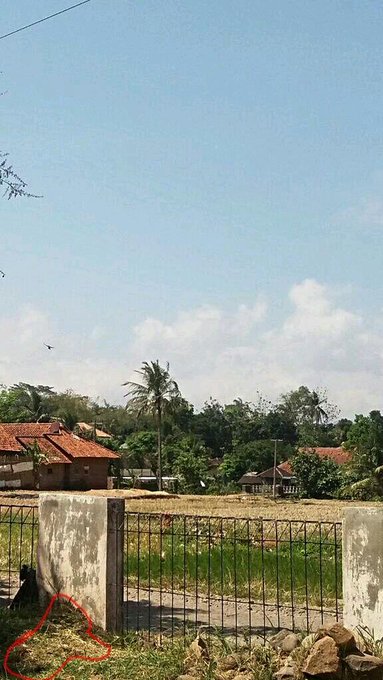 gue-itu-penakut-tapi-suka-poto--video-horror-aslinyalo