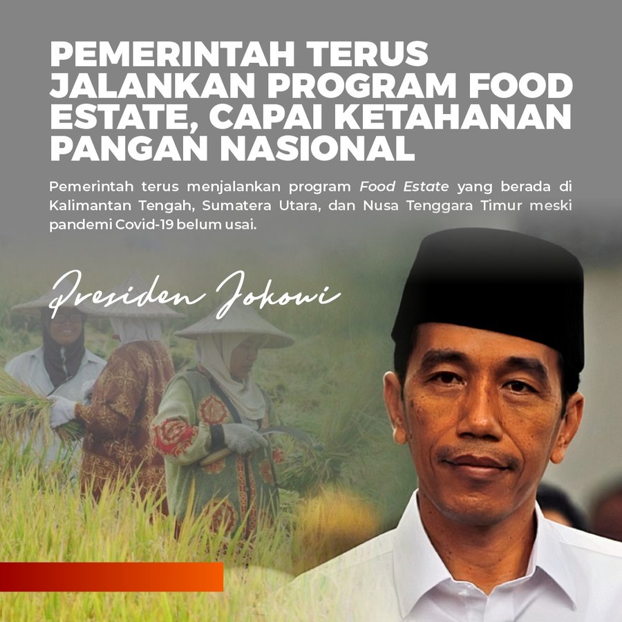  Jokowi Kaget Bukan Main! Ada Petani Panen 14 Ton Per Hektare