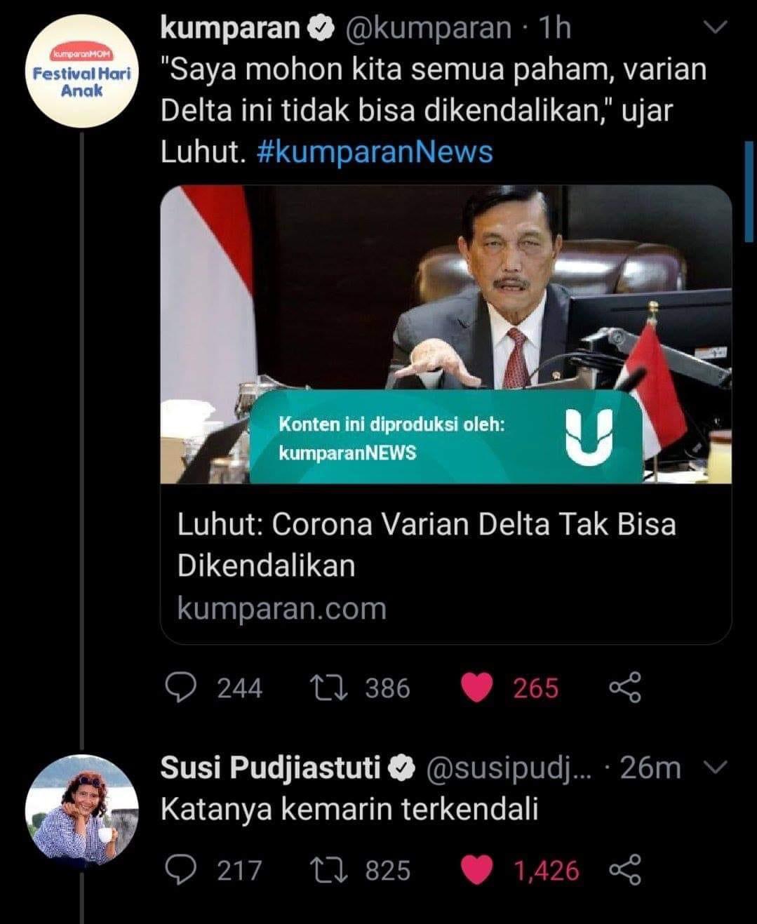 Luhut Dinyinyirin Bu Susi, PDIP Ngamuk Sejadi-jadinya, Kadrun Cuma Ngebacot