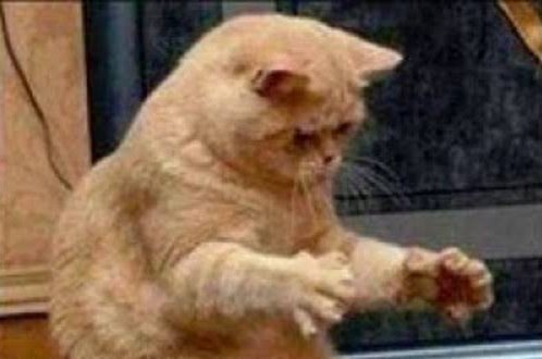 penampakan-gadis-perawan-cantik-di-taman-bogor-viral