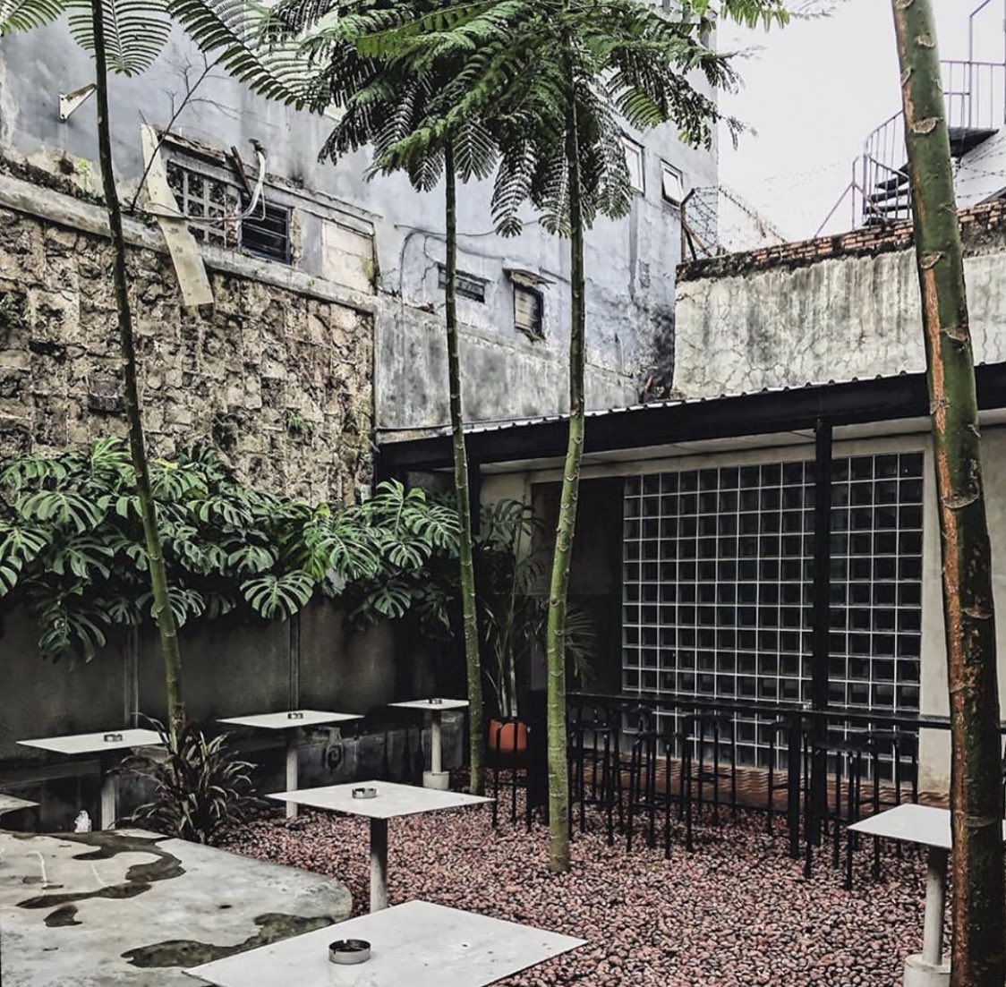 Kafe Minimalis di Jakarta yang Cocok Untuk Feed Instagram