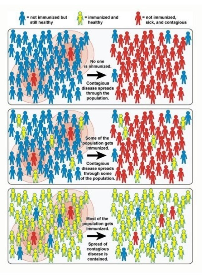 Mengenal Herd Immunity, Cara yang Disebut Bisa Tekan Covid-19