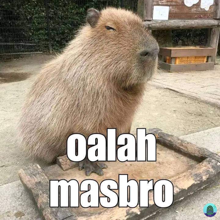 mengenal-capybara-aka-masbro
