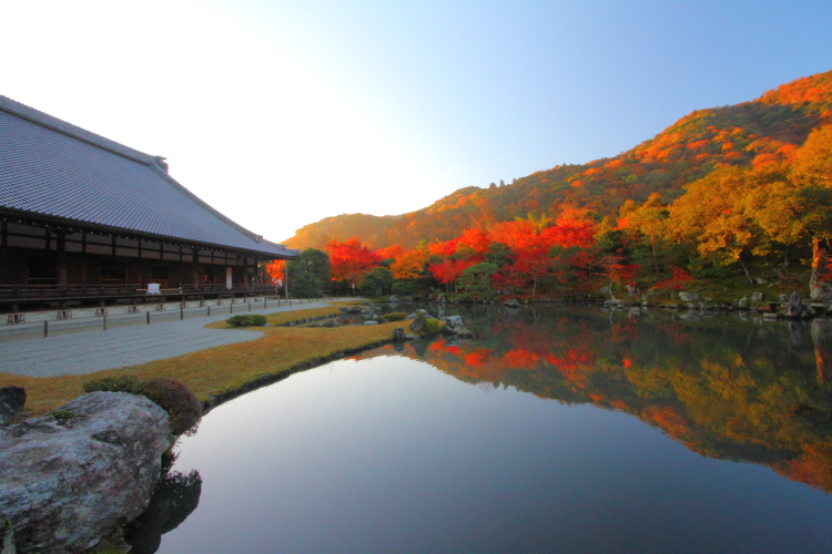 Tempat-tempat utk melihat momiji (maple tree) di Kyoto