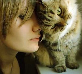 30 Fakta Menarik Tentang Kucing aka Mpus