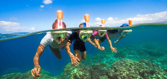 12-reaksi-orang-saat-pertama-kali-snorkeling