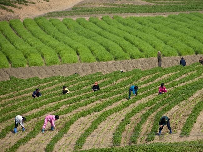 18 Potret Kehidupan Korea Utara yang Bikin Kamu Pengen Kenal Korut dari Dekat