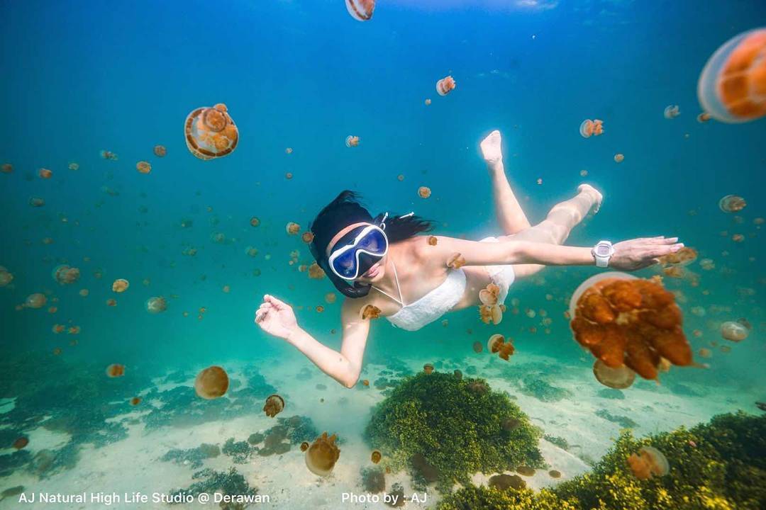 &#91;Coc Reg. KalTim&#93; Uniknya pulau kakaban, tengahnya danau dan pinggirnya laut