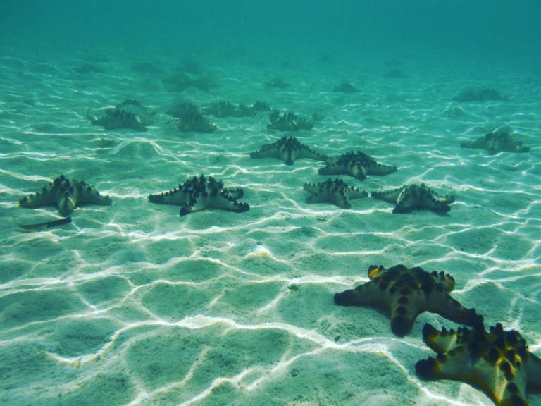 &#91;Coc Reg. Gorontalo&#93; Pulau Saronde, Mutiara Tersembunyi di Gorontalo Sekeren Maldives