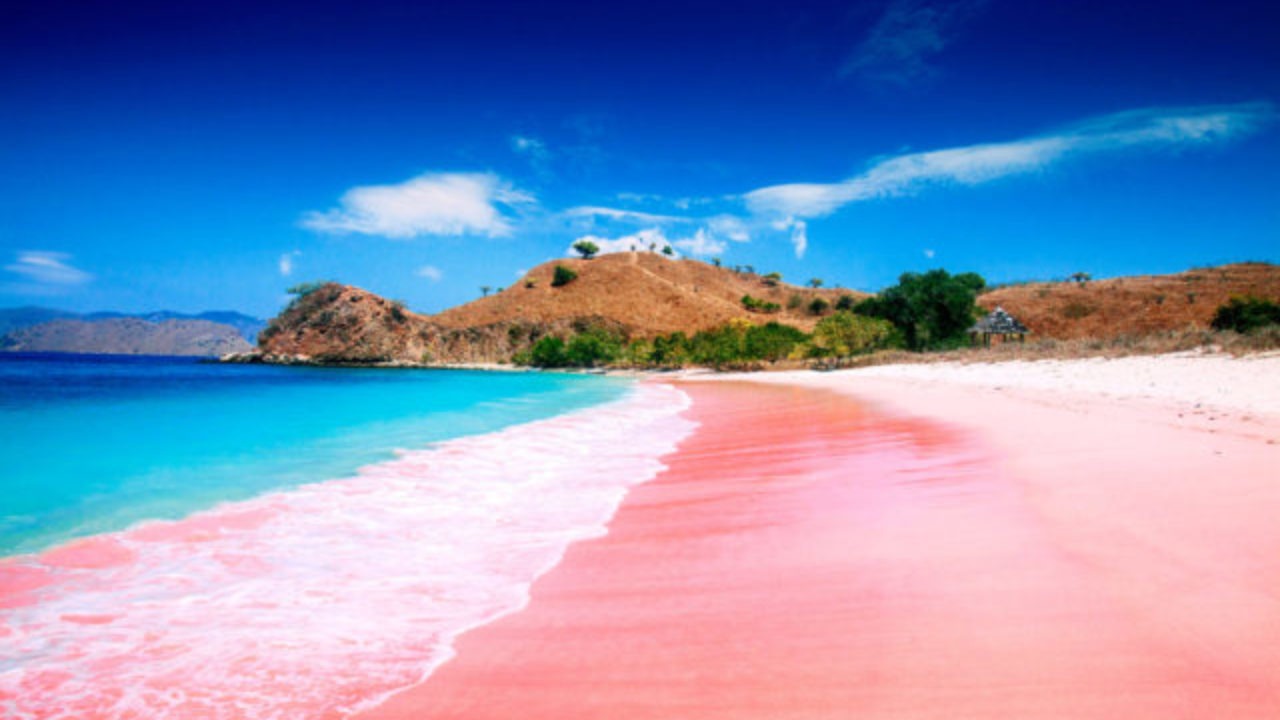 Pulau Komodo Menjadi Destinasi Wisata Premium, dan Hal Yang Bisa Dilakukan Di Sana