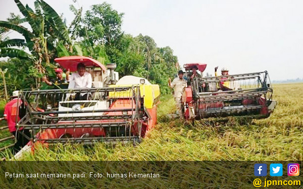 Tiga Tahun Era Jokowi, Jumlah Petani Miskin Menurun