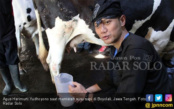 Survei Politik: Gatot Nurmantyo Tidak Ada Apa-apanya Dibanding AHY