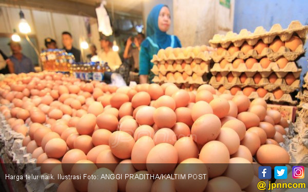 Harga Telur Naik, Mentan Yakin Seminggu Sudah Stabil