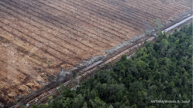 Selamatkan Hutan