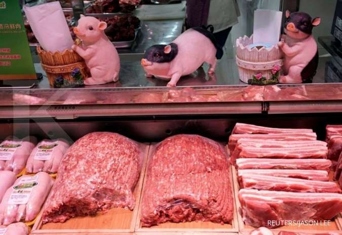 Krisis daging, China kembangkan babi raksasa seukuran beruang kutub