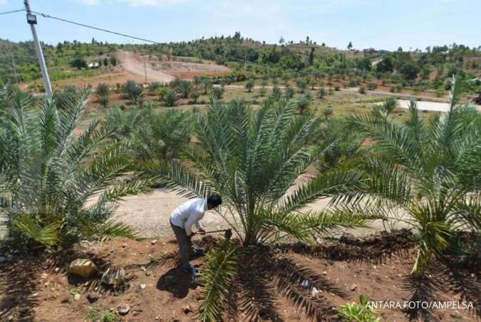 Dapat ancaman dari manajemen, ini jawaban korban Kampoeng Kurma