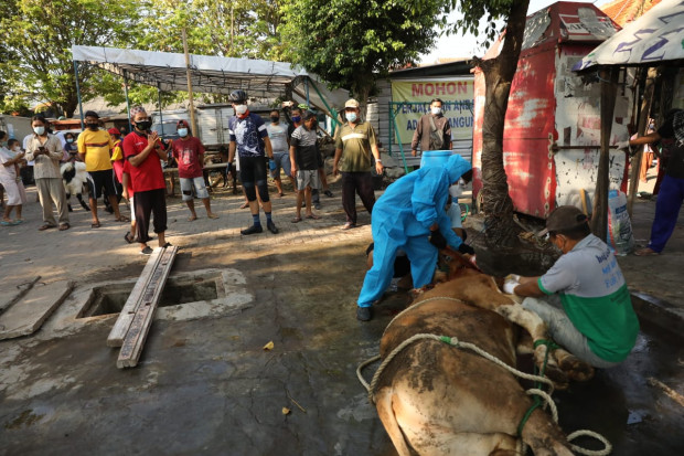 Naik Sepeda, Gubernur Ganjar Keliling Kampung Waspada Klaster Kurban