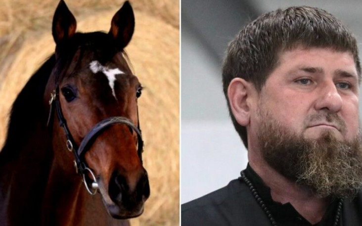kuda-pacu-milik-pemimpin-chechnya-dicuri-di-uni-eropa-kadyrov-marah-dan-sedih