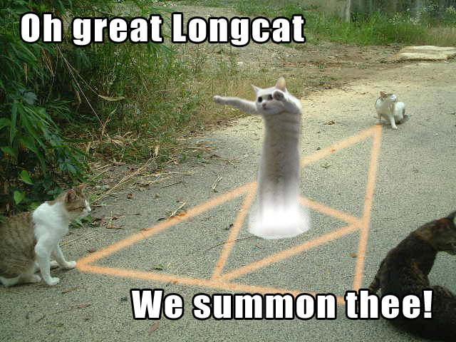 &#91;PIC++&#93; Kumpulan Gambar Longcat yang Lucu-Lucu &#91;NO BWK&#93;