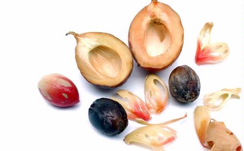 Kisah Buah Pala Si Rempah-Rempah Berdarah dari Timur Indonesia