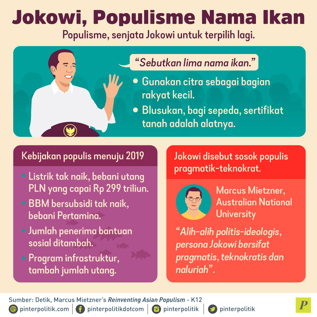 Jurus Jokowi, Populisme Pragmatis