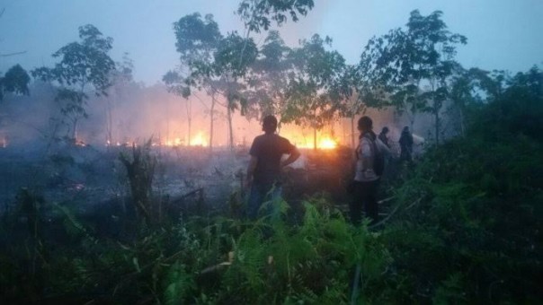 Sejak Januari, Hampir 3000 Hektare Lahan di Riau Terbakar