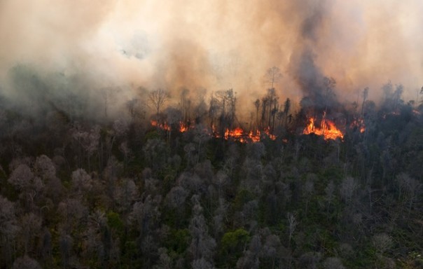 Sempat Nihil, Hotspot di Riau Kembali Muncul