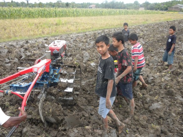 Petani Jawa Timur Manfaatkan Es Mambo Untuk Bajak Sawah