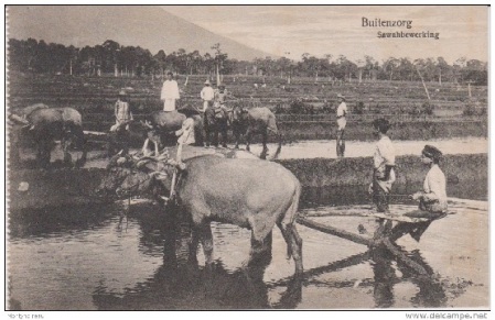 Mengenang Pemberontakan Petani Ciomas 1886