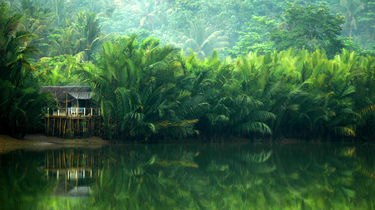 Solusi Keterbatasan Lahan Pertanian dan Sustainable Agriculture Indonesia; Akuaponik