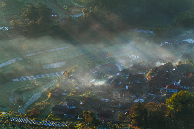 Muncak Gunung Andong, Magelang, Jawa Tengah