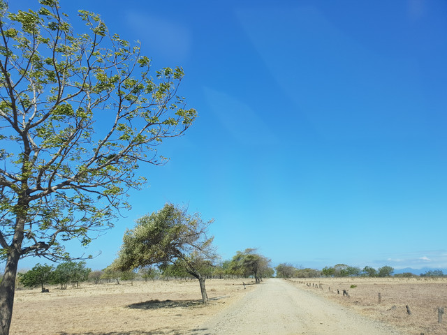 Jalan-Jalan Darat Baluran-Bali