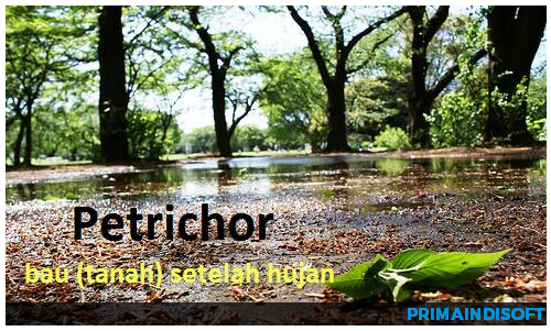 Pluviophile & Istilah Hujan Lainnya yang Pasti Kamu Belum Tahu