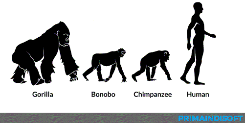 Ini 7 Pandangan Keliru tentang Teori Evolusi