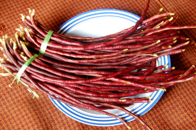 vegetable-lovers---official-thread---part-2