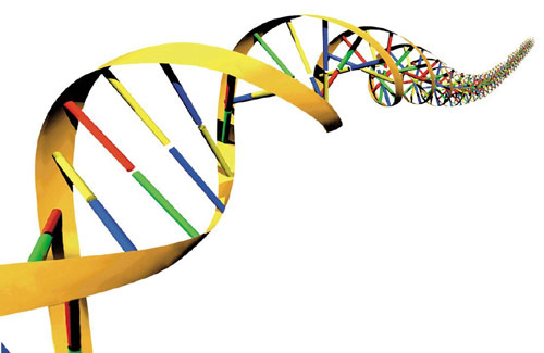 (HOT) Mencari Jodoh Ideal Lewat DNA