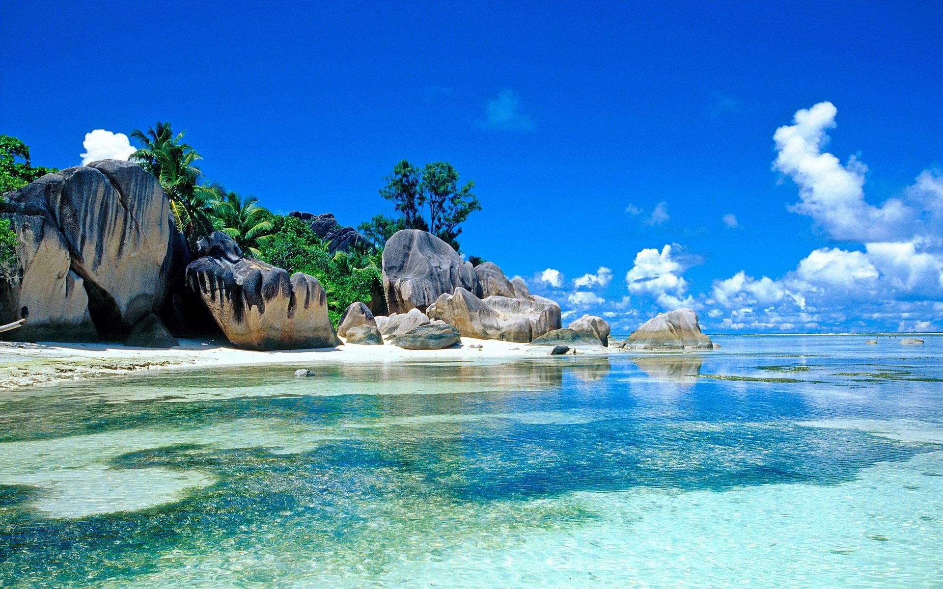 Selebriti Dunia Suka Banget Liburan ke Sini!