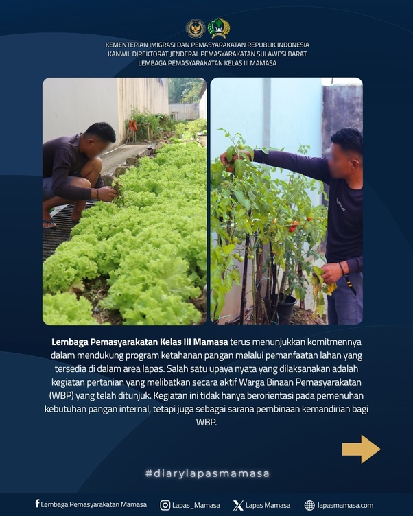Program Pertanian Lapas Mamasa Wujudkan Pembinaan dan Ketahanan Pangan
