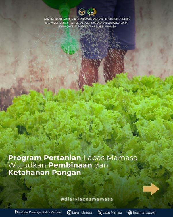 Program Pertanian Lapas Mamasa Wujudkan Pembinaan dan Ketahanan Pangan