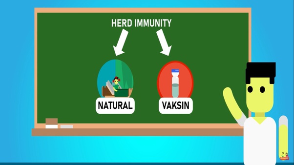 Apa yang dimaksud Herd Immunity? Dan Kenapa Hal itu Ditolak