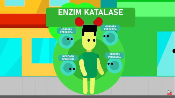  Kenapa  sih Rambut  Kita Berubah Menjadi  Putih KASKUS