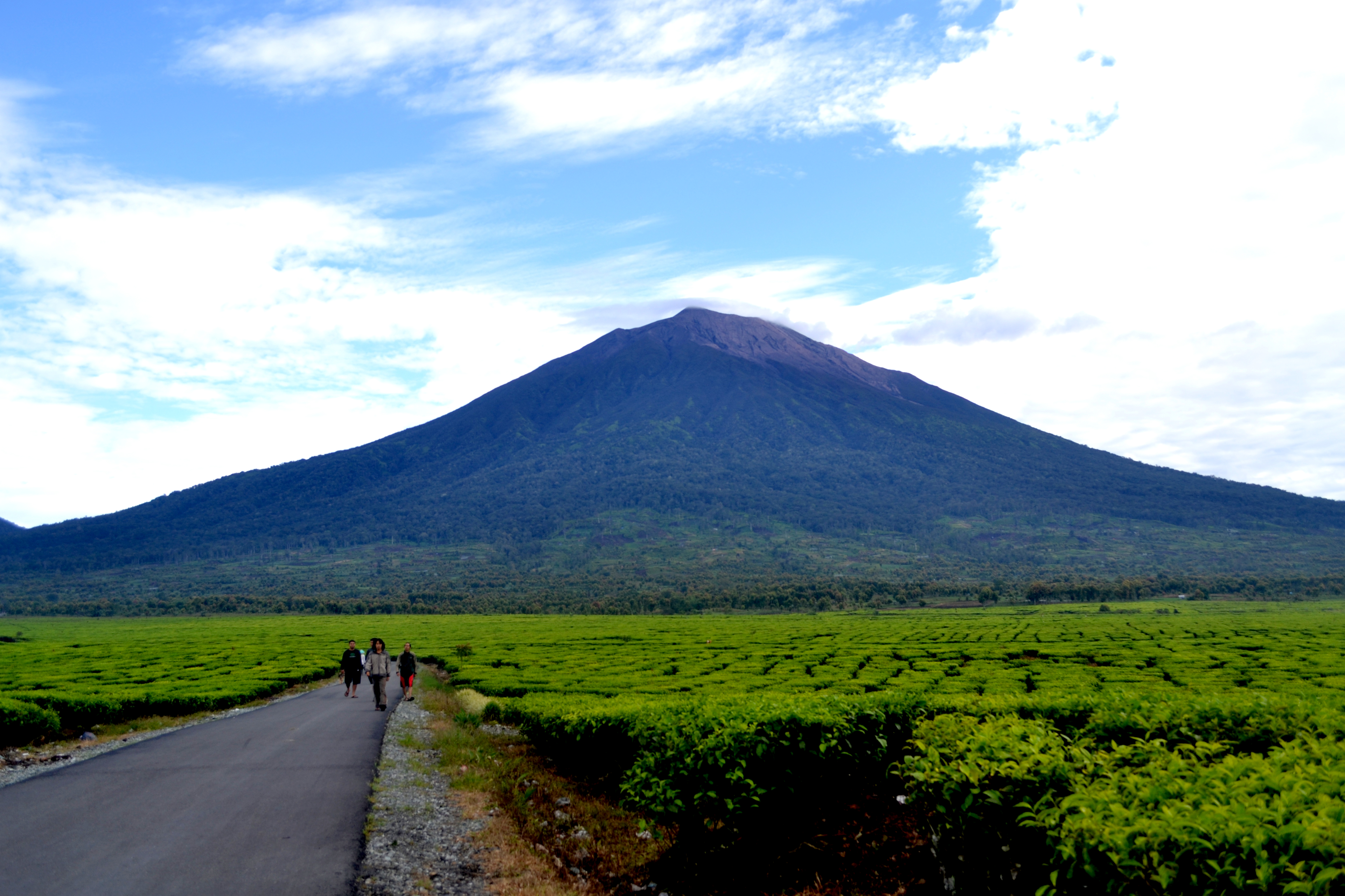 5 Gunung  tertinggi  di  indonesia  KASKUS