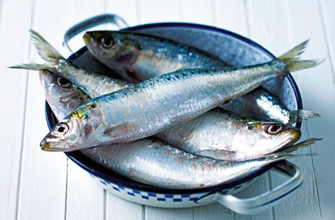 Seafood, Seafood Apa yang Menyehatkan? Seafood-seafood Ini!
